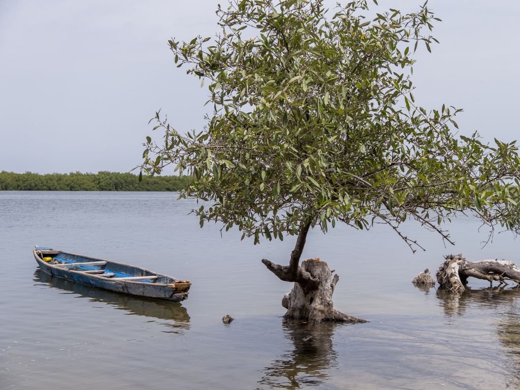 activites touristiques senegal pas cher