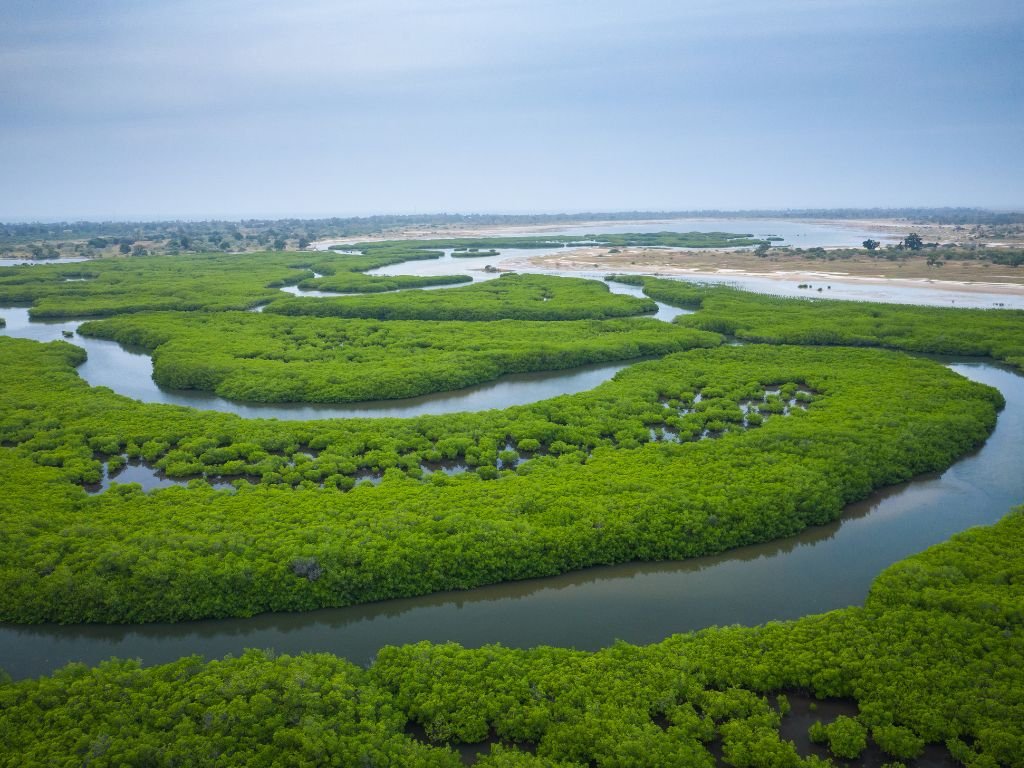 hebergement economique senegal